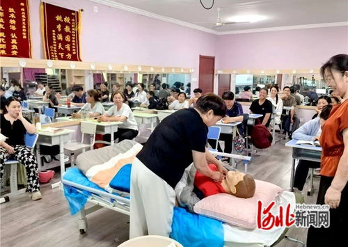 石家莊市橋西區 抓實技能培訓，賦能職工就業——市場調查服務助力就業新路徑