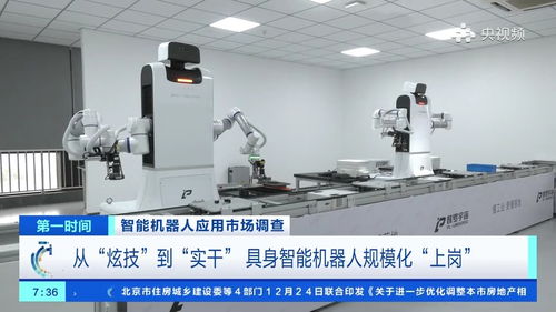200元一天就能帶個機器人回家，具身智能加速走進生活與工廠——廣西軟件開發(fā)的機遇與挑戰(zhàn)
